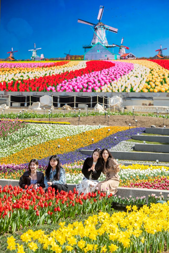 A large screen displays a vivid image of a Dutch-style tulip field with colorful flower rows and windmills at Everland’s Infinity Tulip Garden