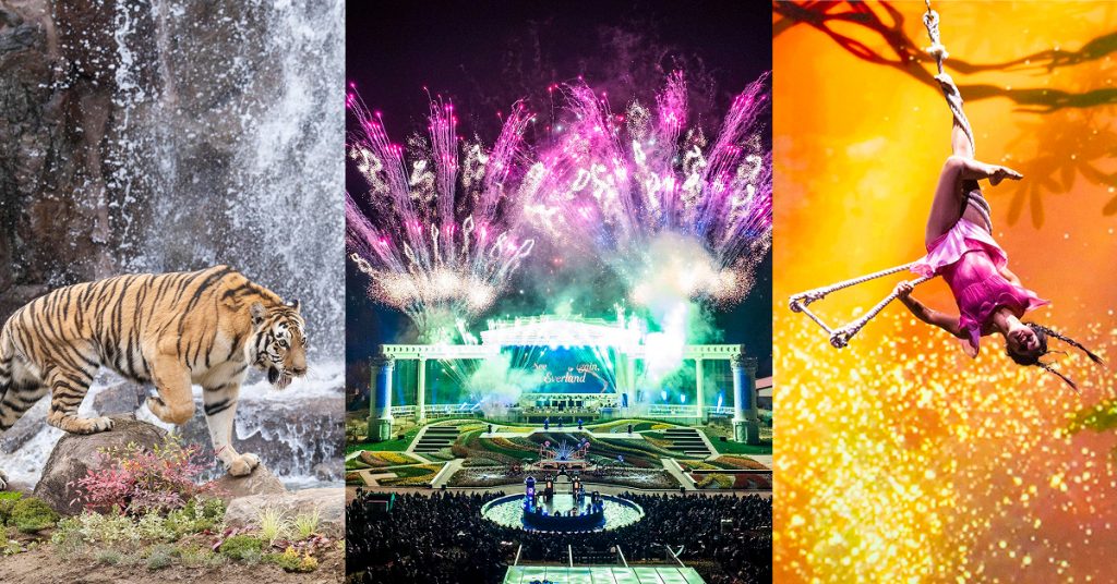 Composite image showing a tiger at Everland’s Safari World, fireworks over Four Seasons Garden, and an aerial circus performer from the Wings of Memory show.