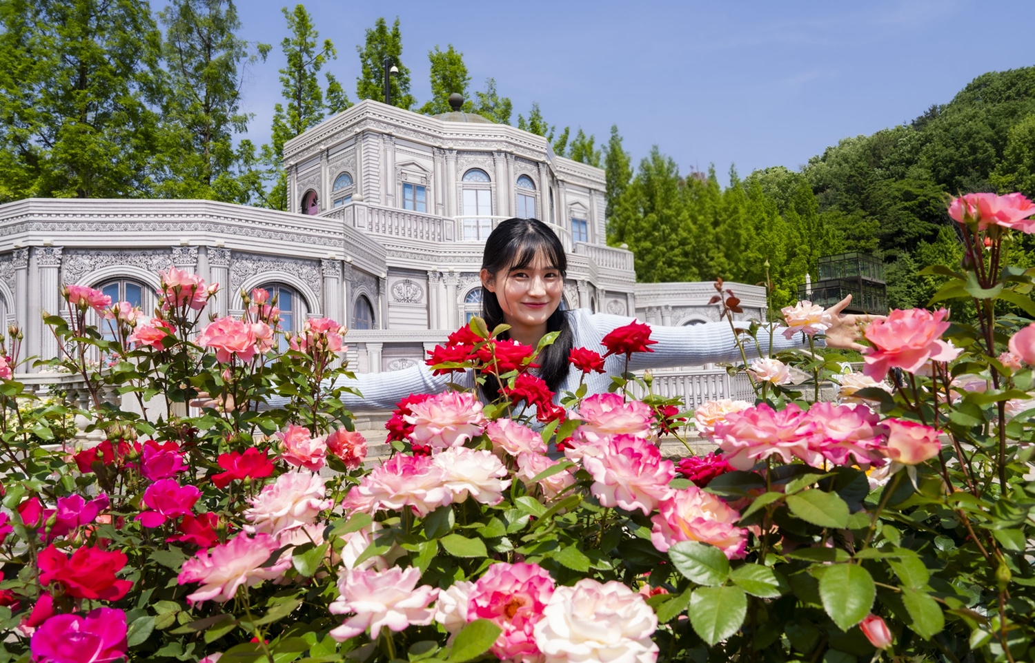 Everland Rose Festival Returns with 3 Million Roses in Full Bloom ...