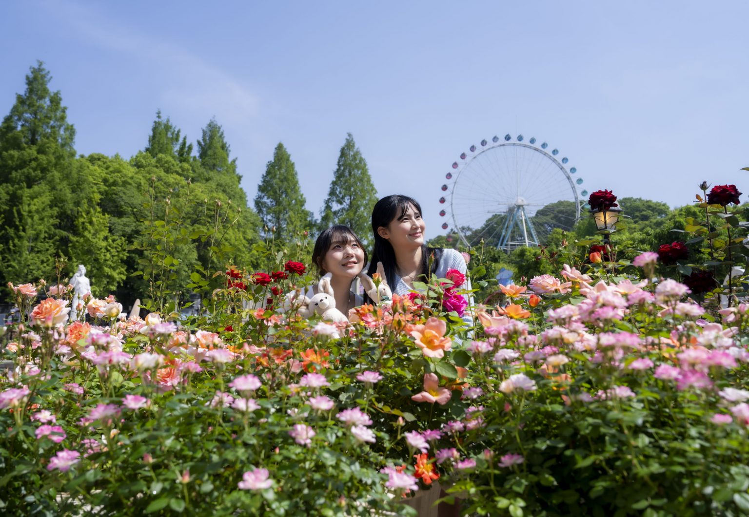 Everland Rose Festival Returns with 3 Million Roses in Full Bloom ...