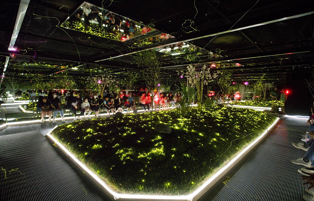 Visitors sit around an indoor nighttime firefly experience area, where small yellow-green lights resembling fireflies glow across plants and dark reflective surfaces.
