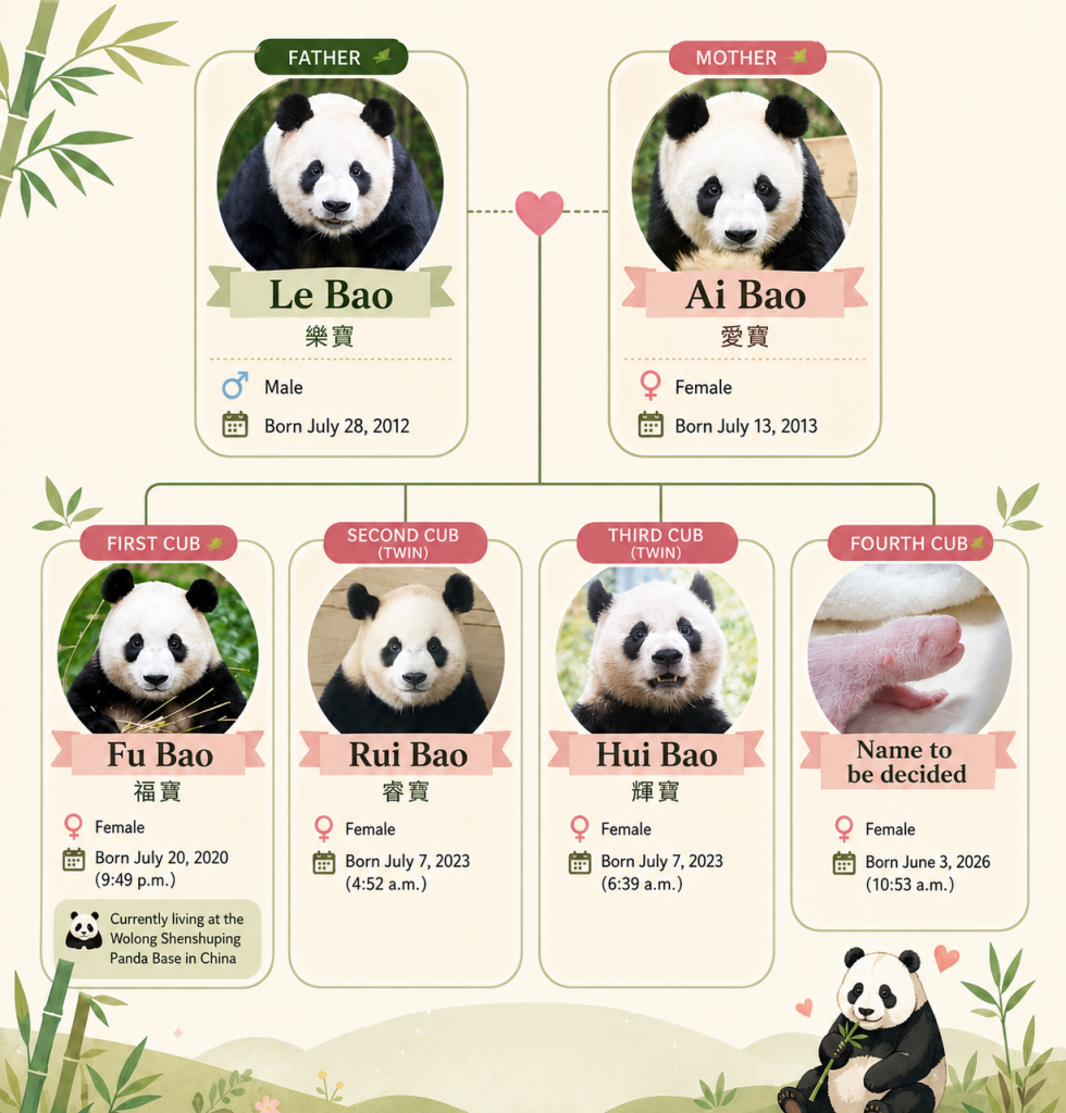 Everland's Bao family tree