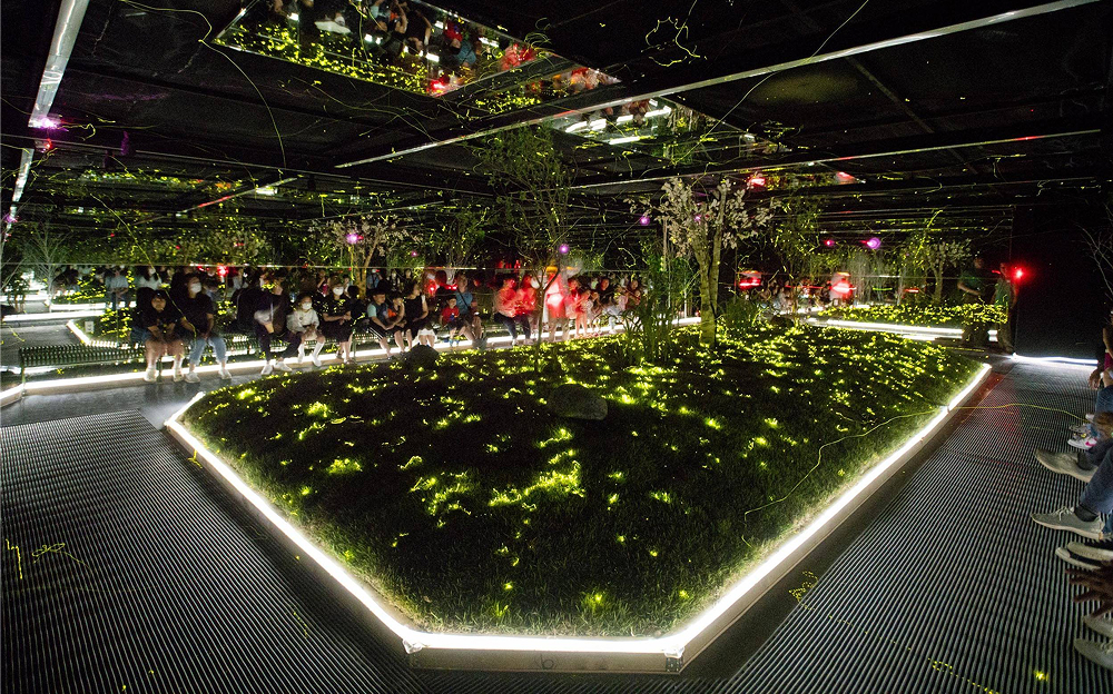 Visitors seated around a dark indoor forest habitat as thousands of fireflies create glowing trails during Everland's Midsummer Night Firefly Festival.