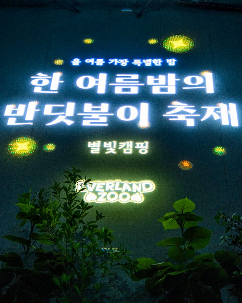 Korean-language projection reading Midsummer Night Firefly Festival and Starlight Camping above the Everland Zoo logo and green plants.