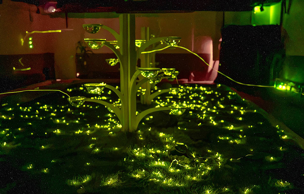 Thousands of green-yellow firefly lights shine across a dark forest habitat inside Everland's firefly experience zone.